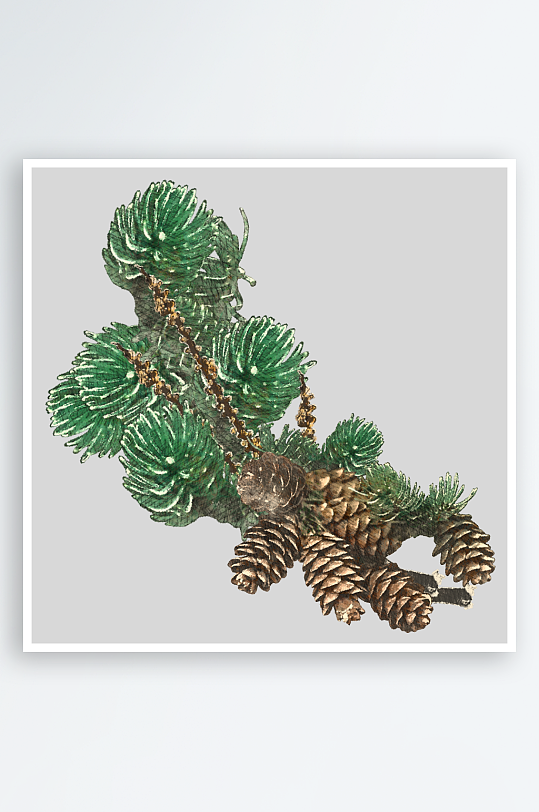 唯美水彩圣诞植物树叶免抠素材-众图网