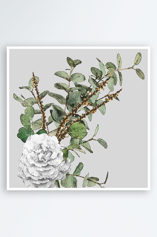 唯美水彩圣诞植物树叶免抠素材-众图网