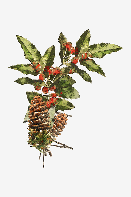 唯美水彩圣诞植物树叶免抠素材-众图网