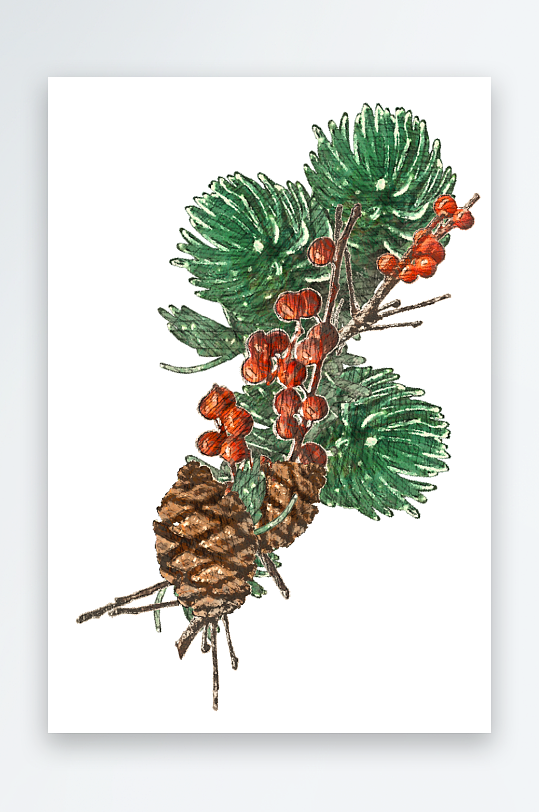唯美水彩圣诞植物树叶免抠素材-众图网