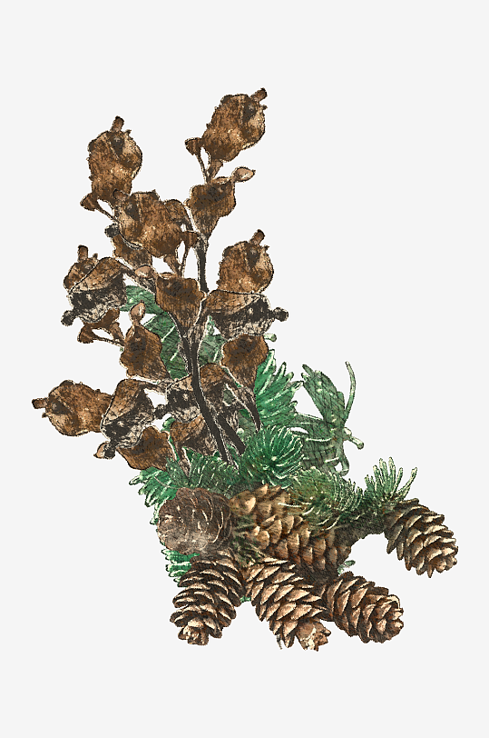 唯美水彩圣诞植物树叶免抠素材-众图网