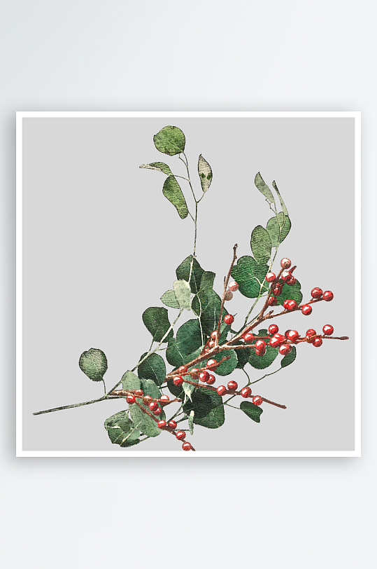 唯美水彩圣诞植物树叶免抠图-众图网