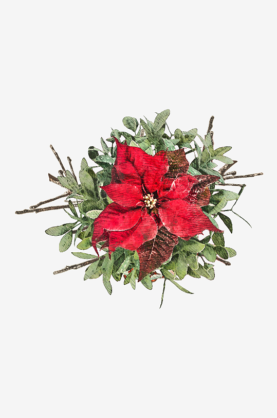 唯美水彩圣诞植物树叶免抠图-众图网