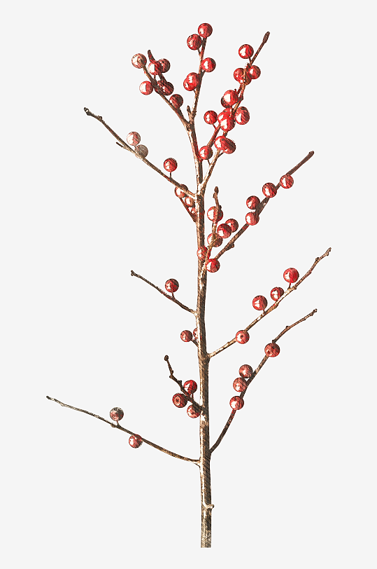 唯美水彩圣诞树叶树枝免抠图-众图网