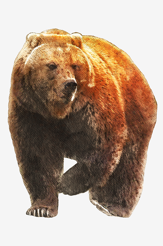 唯美水彩动物树枝免抠图-众图网