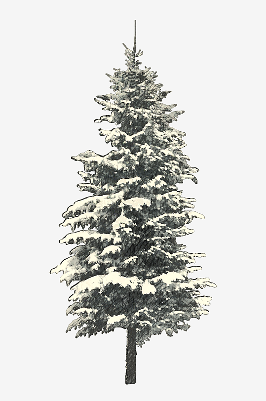 圣诞树免抠png素材-众图网