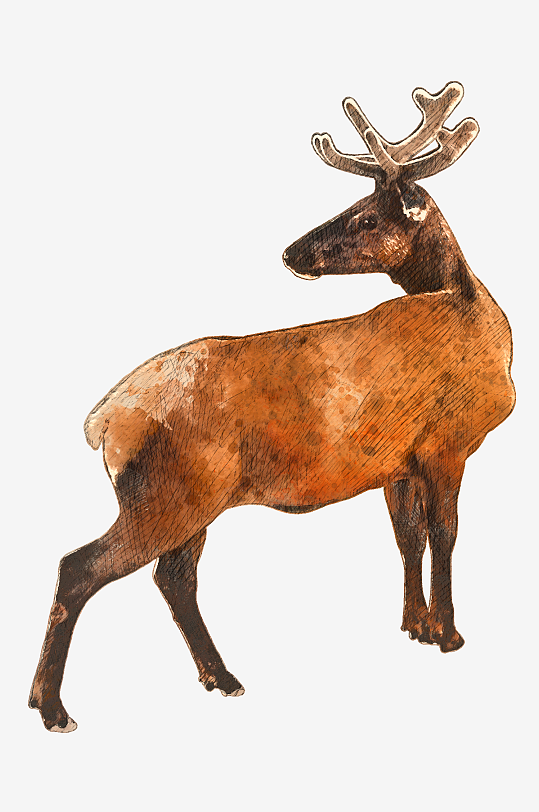 圣诞麋鹿免抠png素材-众图网