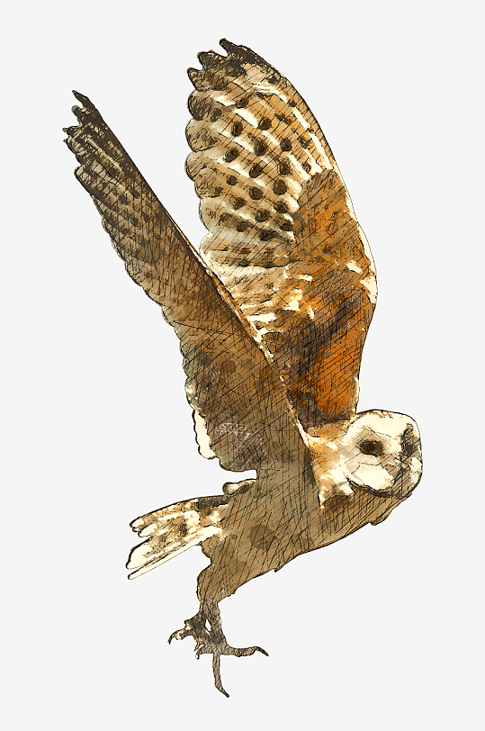 圣诞免抠png素材-众图网