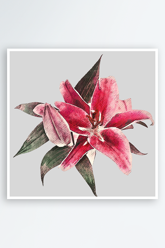 圣诞花卉免抠png素材-众图网