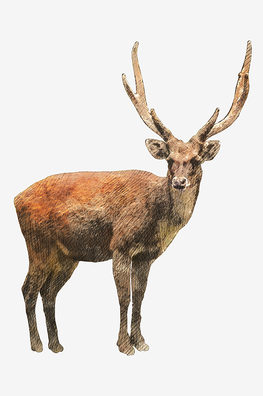 圣诞麋鹿免抠png素材-众图网