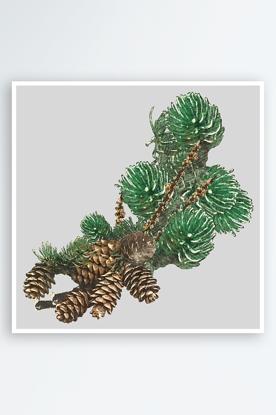 圣诞树枝免抠png素材-众图网