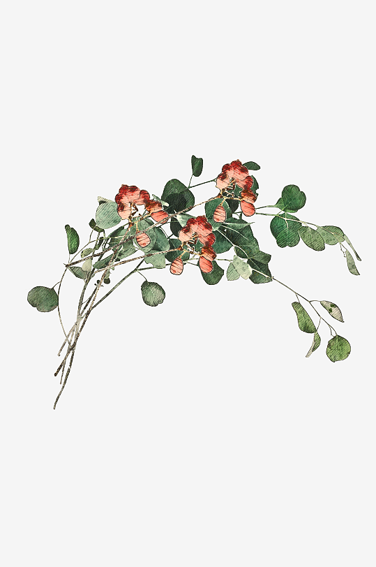 圣诞树枝免抠png素材-众图网