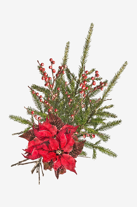 圣诞树枝免抠png素材-众图网