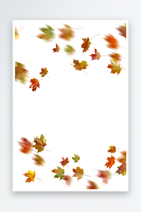 秋叶树叶落叶免抠素材-众图网