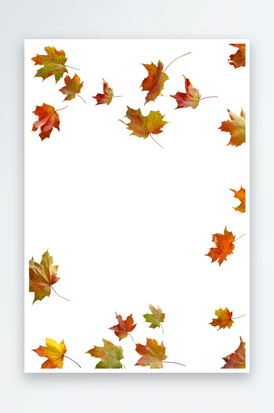 秋叶树叶落叶免抠素材-众图网