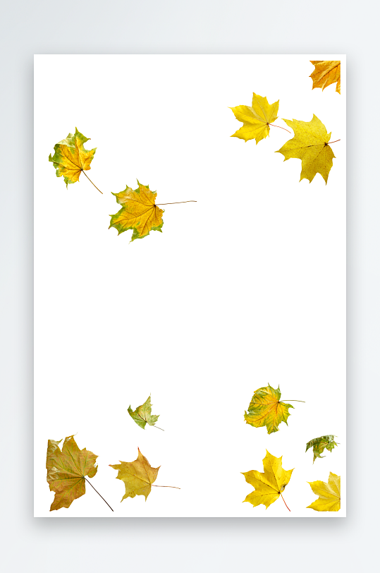 秋叶树叶落叶免抠素材-众图网