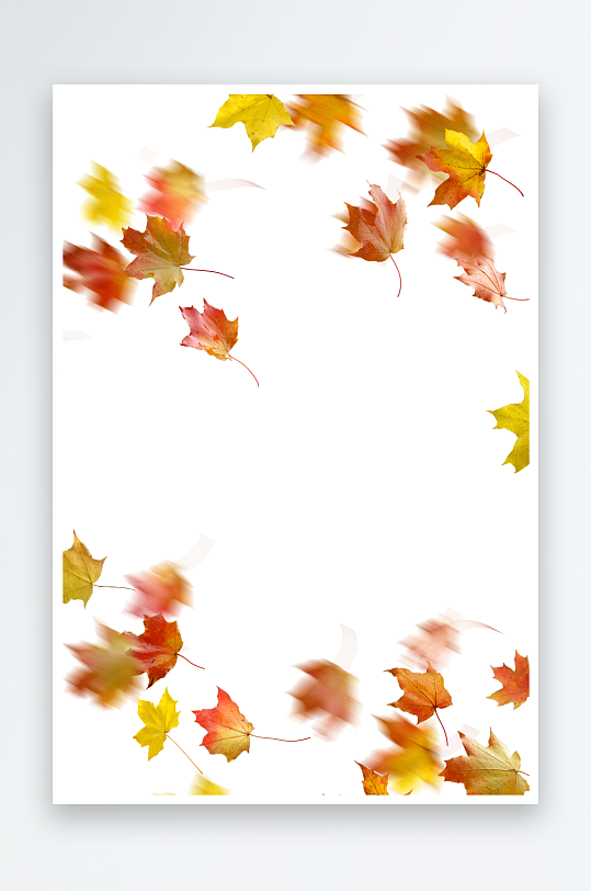秋叶树叶落叶免抠素材-众图网