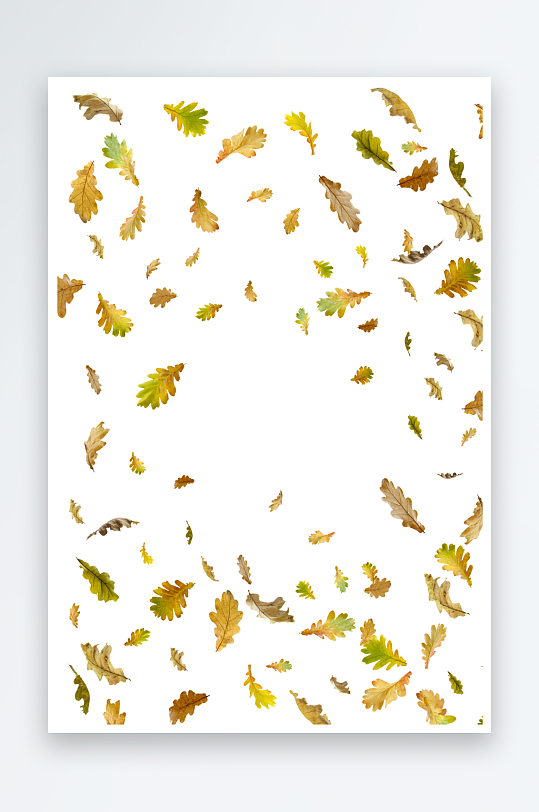 秋叶树叶落叶免抠素材-众图网