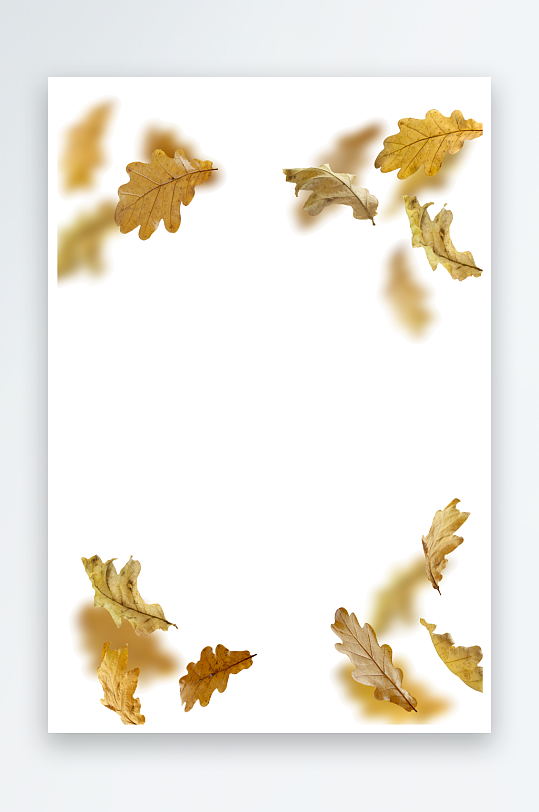 秋叶树叶落叶免抠素材-众图网