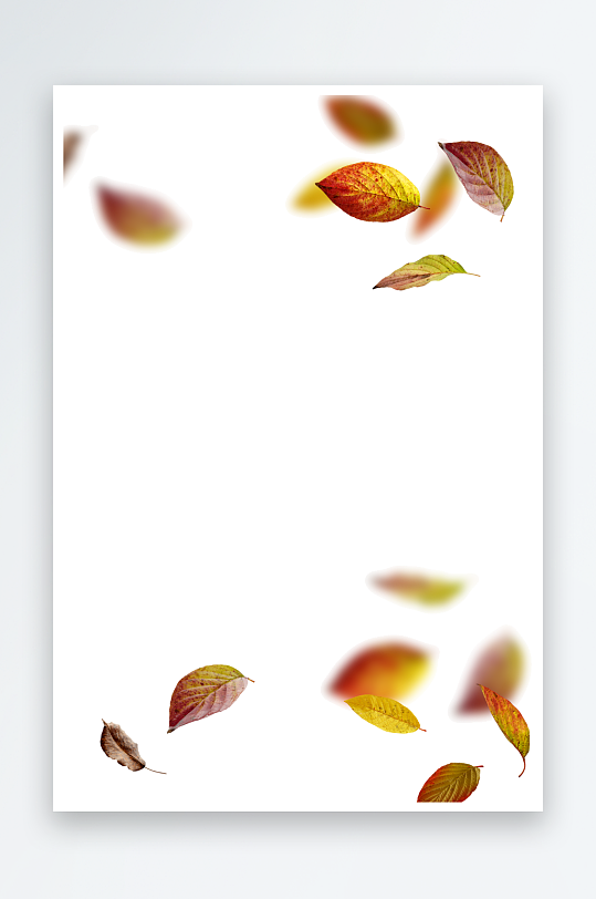 秋叶树叶落叶免抠素材-众图网