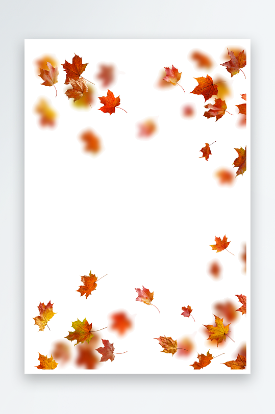 秋叶树叶落叶免抠素材-众图网
