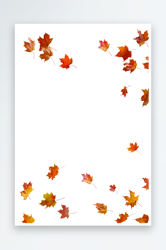 秋叶树叶落叶免抠素材-众图网