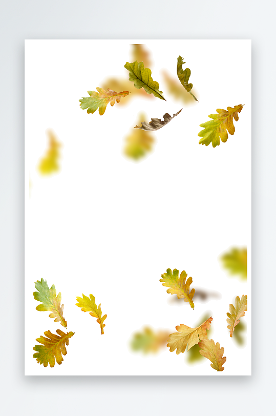 秋叶树叶落叶免抠图-众图网