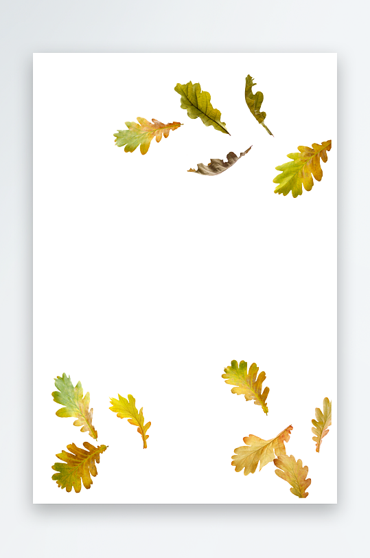 秋叶树叶落叶免抠图-众图网