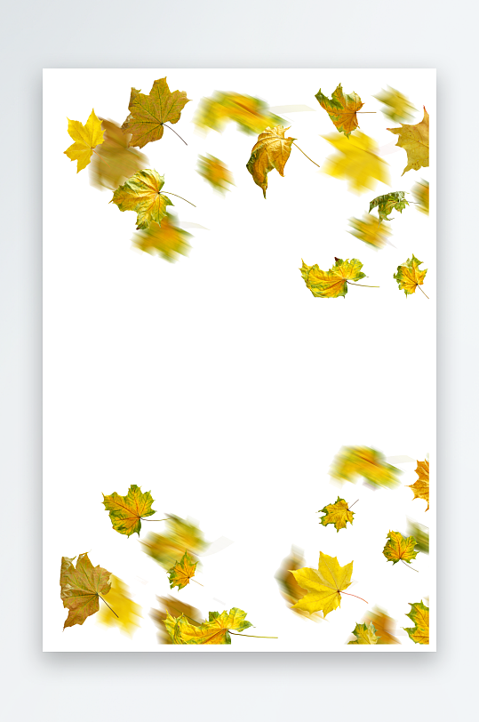 秋叶树叶落叶免抠图-众图网