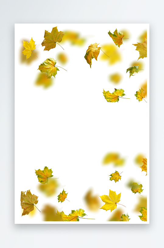 秋叶树叶落叶免抠图-众图网