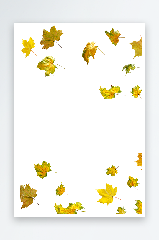 秋叶树叶落叶免抠图-众图网