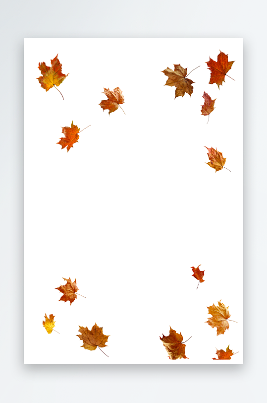 秋叶树叶落叶免抠图-众图网