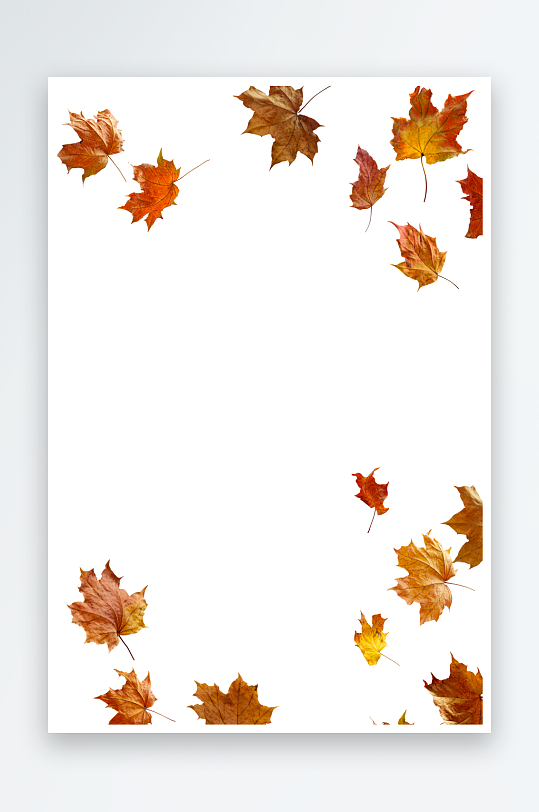 秋叶树叶落叶免抠图-众图网