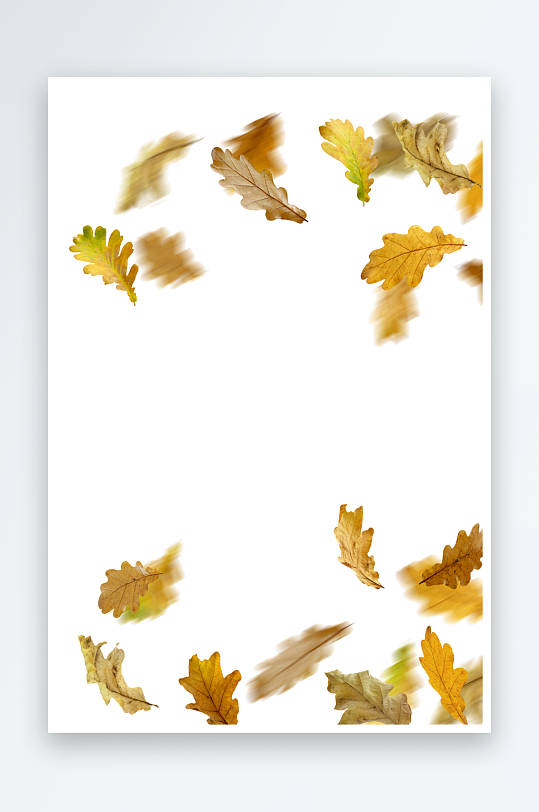 秋叶树叶落叶免抠图-众图网