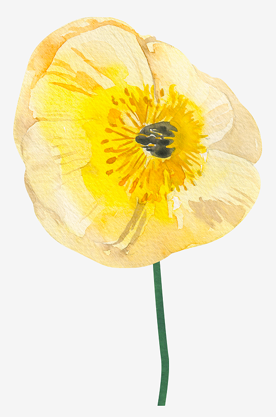 手绘植物花卉字母素材-众图网