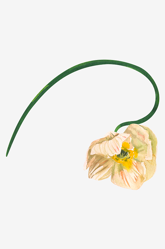 手绘植物花卉免抠素材-众图网