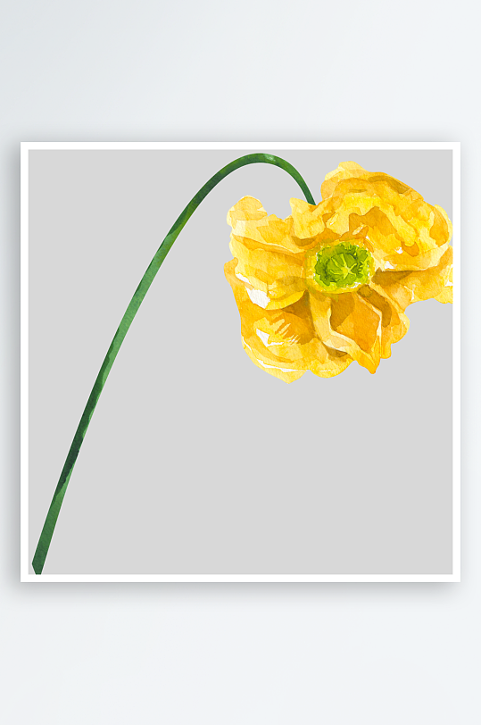 手绘植物花卉免抠素材-众图网