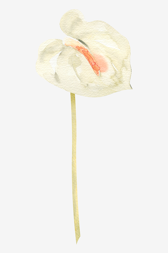 手绘植物花卉免抠素材-众图网