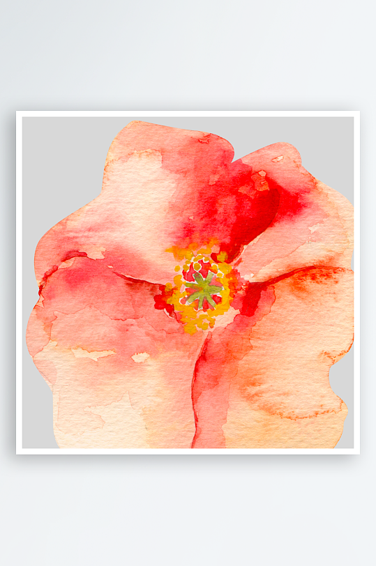 手绘植物花卉免抠图-众图网