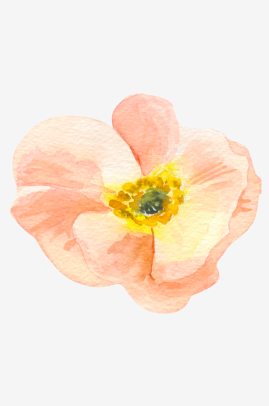 手绘植物花卉免抠素材-众图网