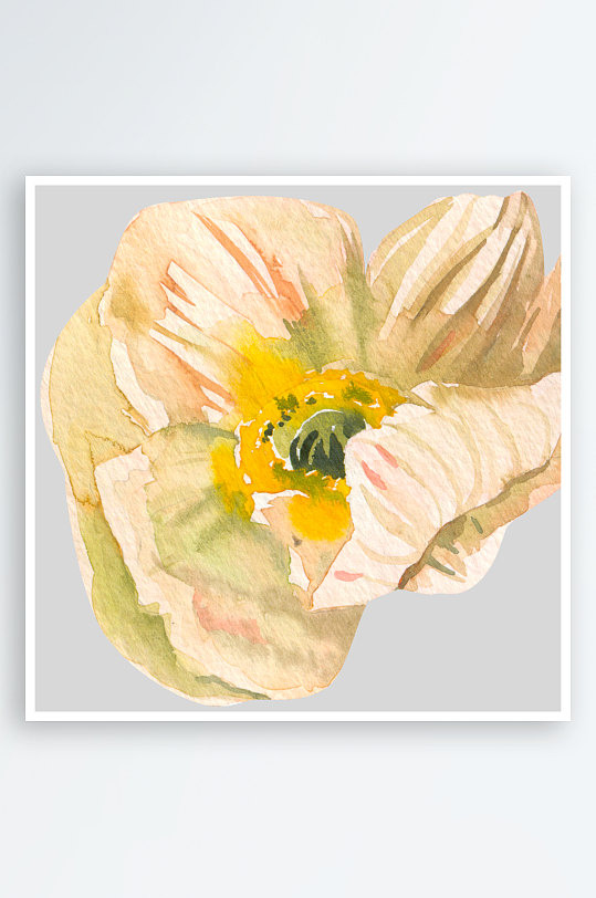 手绘植物花卉免抠素材-众图网