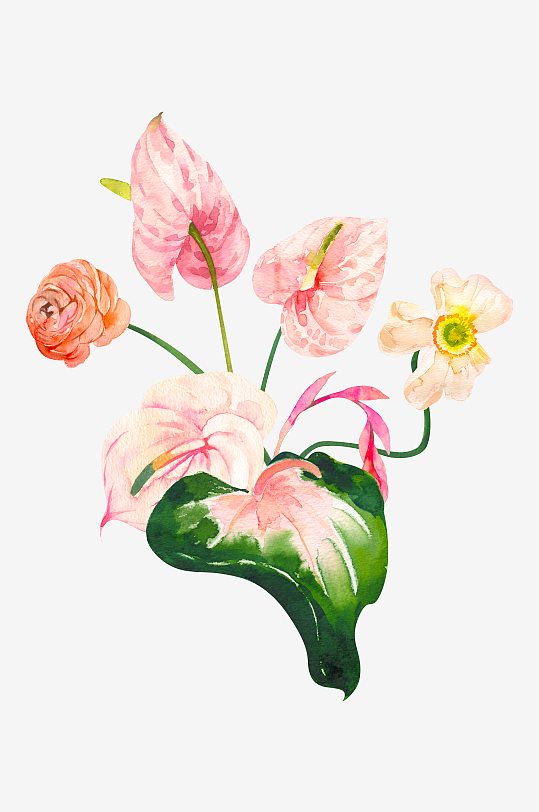 手绘植物花卉免抠素材-众图网