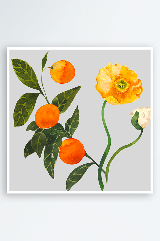 手绘植物花卉免抠素材-众图网