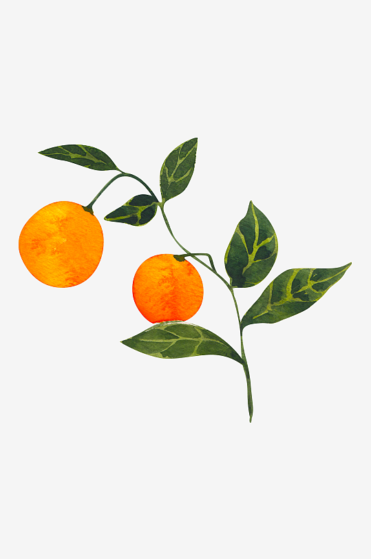 手绘植物花卉免抠素材-众图网