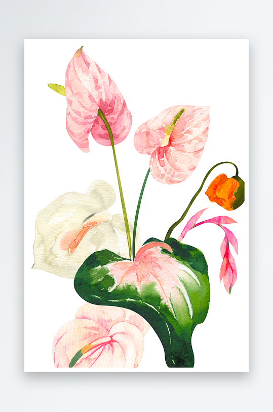 手绘植物花卉免抠素材-众图网