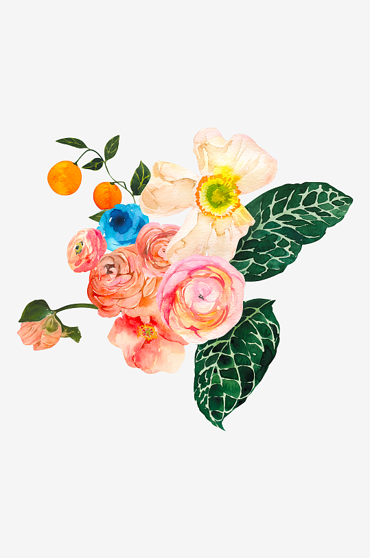 手绘植物花卉免抠素材-众图网