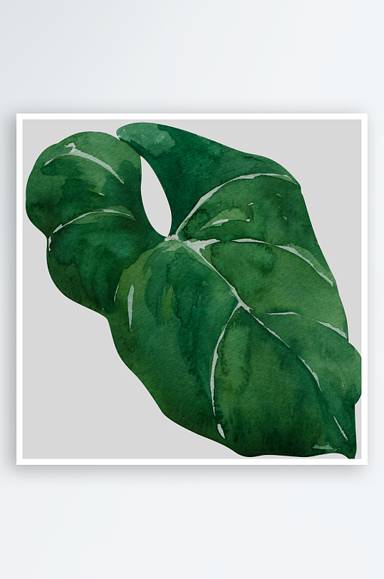 手绘植物花卉免抠素材-众图网