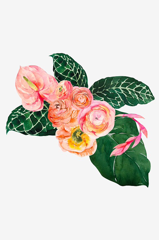 手绘植物花卉免抠素材-众图网