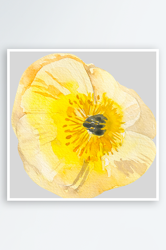 手绘植物花卉png素材-众图网