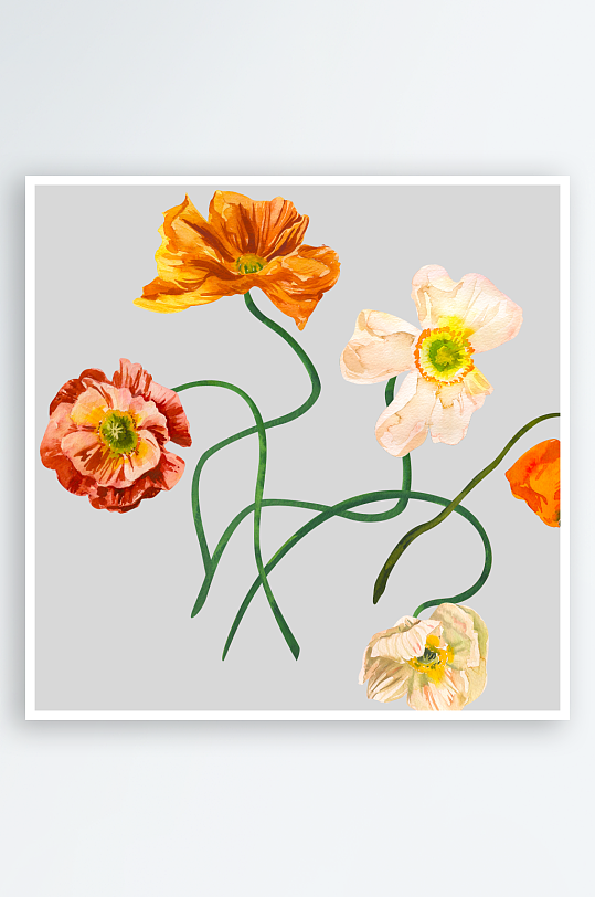 手绘植物花卉png素材-众图网